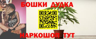 jwh Будённовск